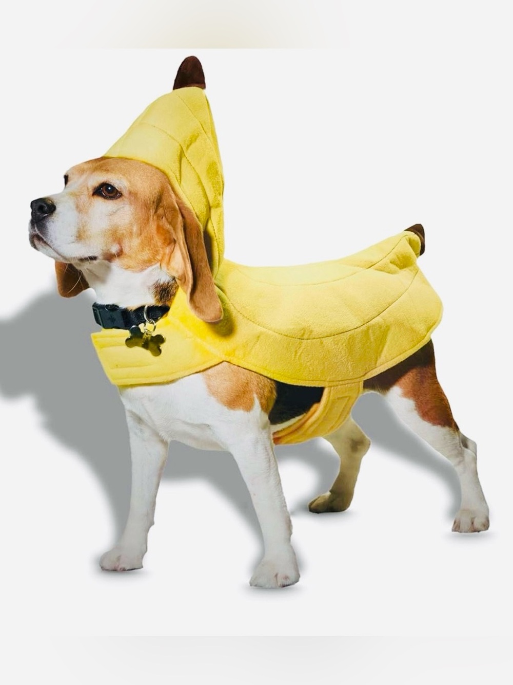 FUN 🍌 YELLOW BANANA WITH BROWN ENDS 🍌 HOODED PET COSTUME SIZE MEDIUM 🌟NWOT🌟